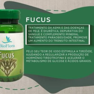 Fucus 60cp 500mg Bioflora